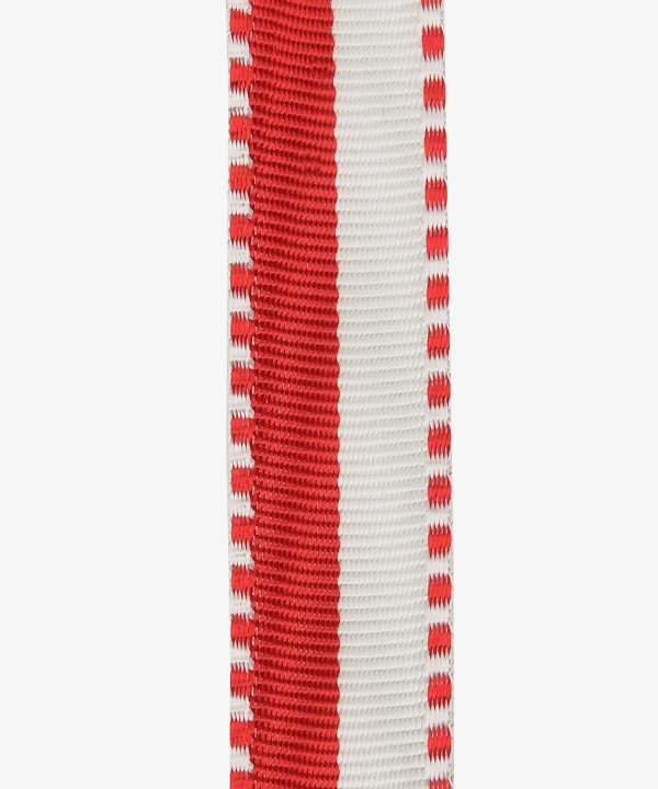 Schweiz, Zweitagemarsch, Berner Marsch, Miniatur (244)